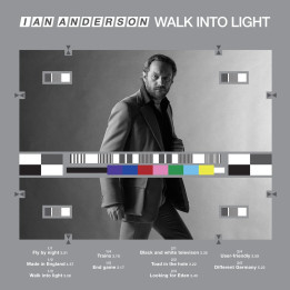 Anderson Ian - Walk Into Light (LP)